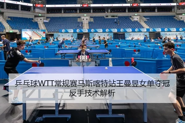ping-pang-qiu-chang-gui-sai-ma-si-ka-te-zhan-wang-man-yu-nv-dan-duo-guan-fan-shou-ji-shu-jie-xi-2-743.jpg