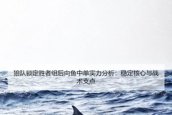 lang-dui-suo-ding-sheng-zhe-zu-hou-xiang-yu-zhong-dan-shi-li-fen-xi-wen-ding-he-xin-yu-zhan-shu-zhi-dian-2-597.jpg